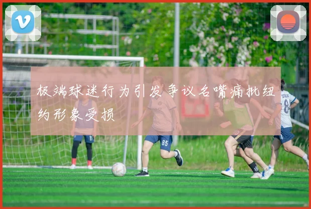 极端球迷行为引发争议名嘴痛批纽约形象受损